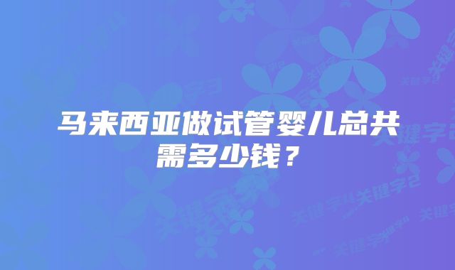 马来西亚做试管婴儿总共需多少钱?