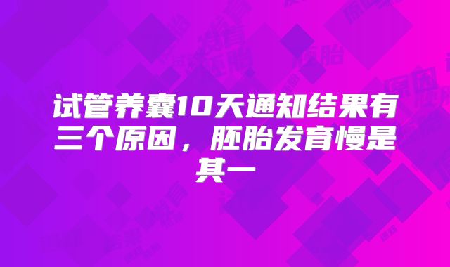 试管养囊10天通知结果有三个原因，胚胎发育慢是其一