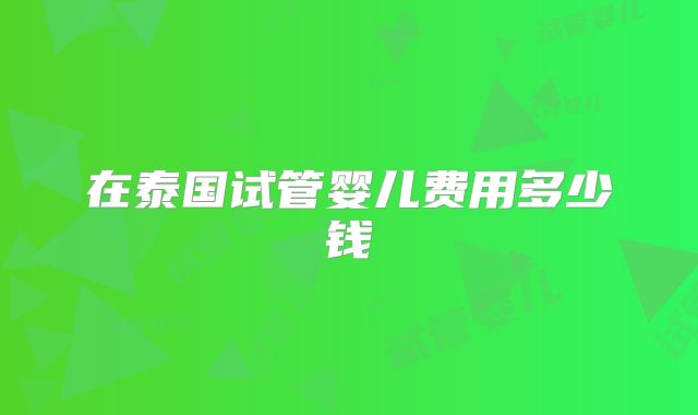 在泰国试管婴儿费用多少钱