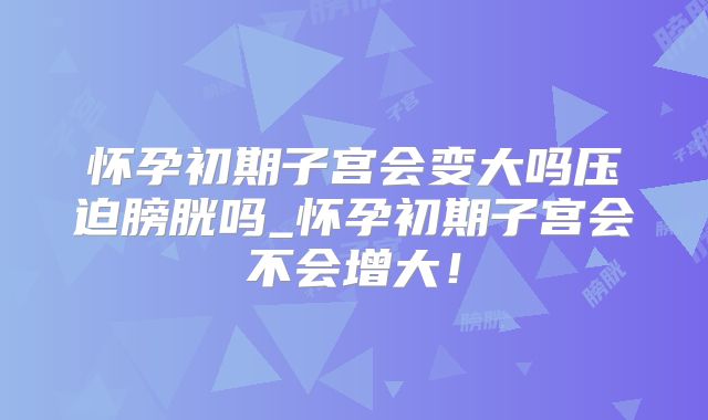 怀孕初期子宫会变大吗压迫膀胱吗_怀孕初期子宫会不会增大!