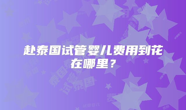 赴泰国试管婴儿费用到花在哪里?