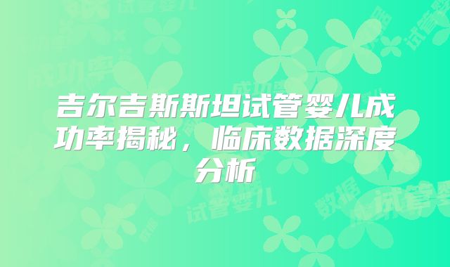 吉尔吉斯斯坦试管婴儿成功率揭秘,临床数据深度分析