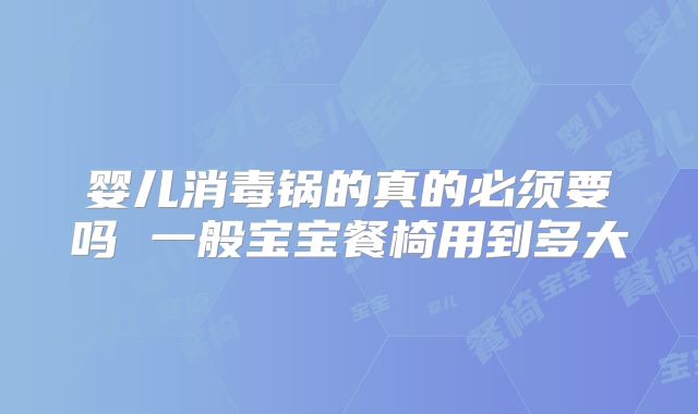 婴儿消毒锅的真的必须要吗 一般宝宝餐椅用到多大