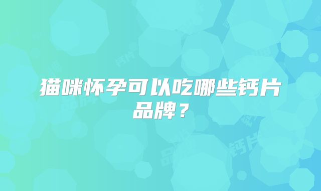 猫咪怀孕可以吃哪些钙片品牌？