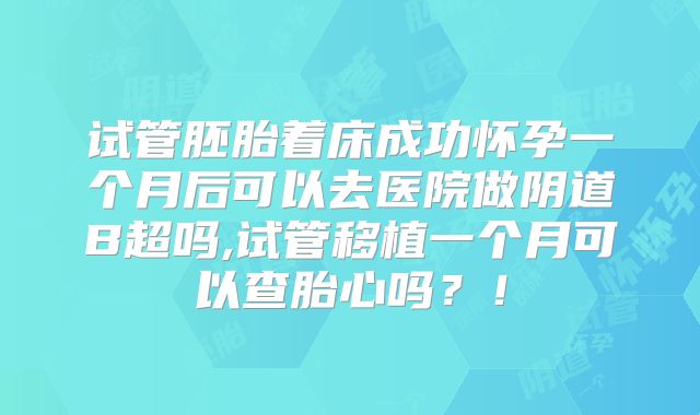 试管胚胎着床成功怀孕一个月后可以去医院做阴道B超吗,试管移植一个月可以查胎心吗?!