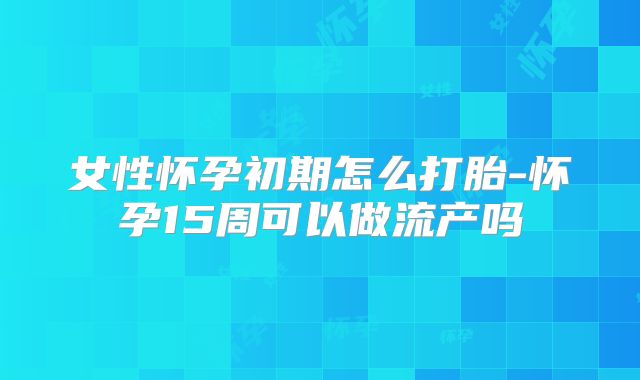 女性怀孕初期怎么打胎-怀孕15周可以做流产吗