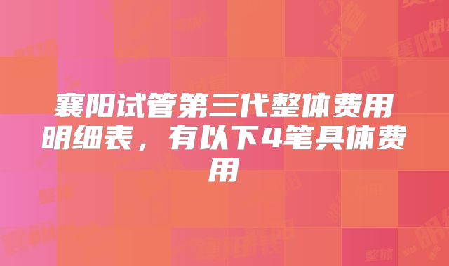 襄阳试管第三代整体费用明细表，有以下4笔具体费用