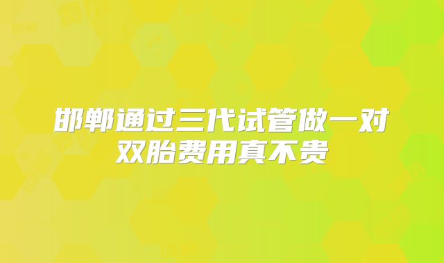 邯郸通过三代试管做一对双胎费用真不贵