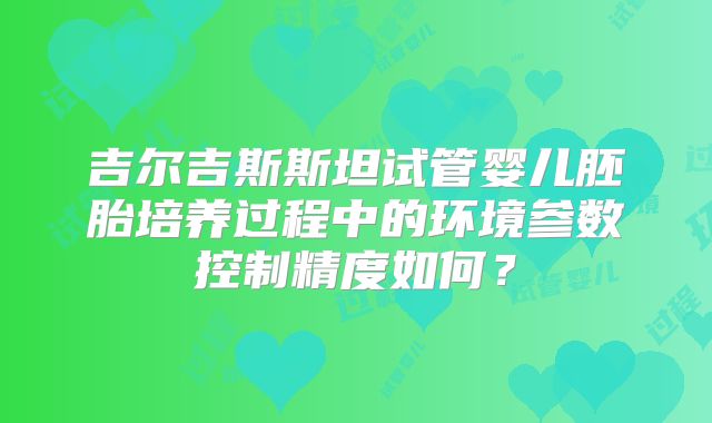 吉尔吉斯斯坦试管婴儿胚胎培养过程中的环境参数控制精度如何？