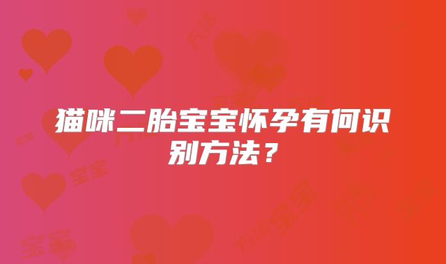 猫咪二胎宝宝怀孕有何识别方法?