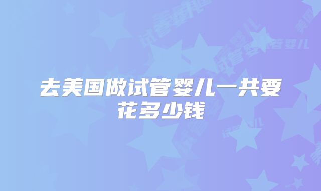 去美国做试管婴儿一共要花多少钱