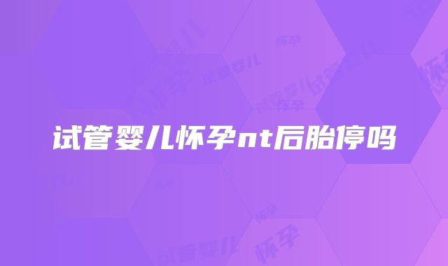 试管婴儿怀孕nt后胎停吗