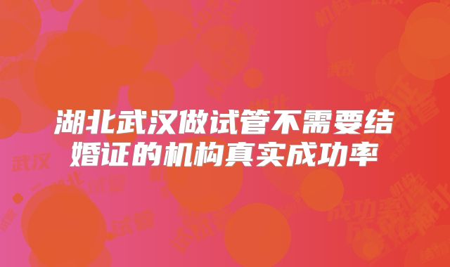 湖北武汉做试管不需要结婚证的机构真实成功率