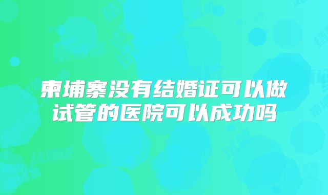 柬埔寨没有结婚证可以做试管的医院可以成功吗