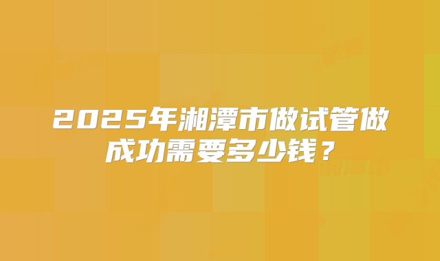 2025年湘潭市做试管做成功需要多少钱？