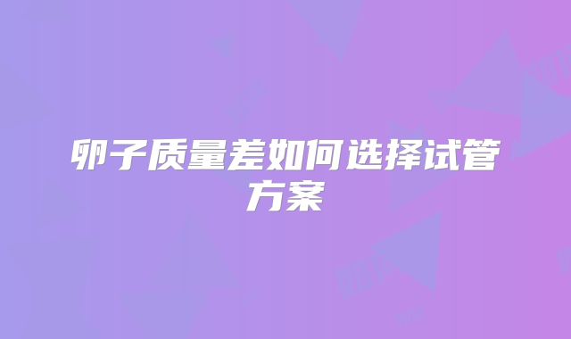 卵子质量差如何选择试管方案