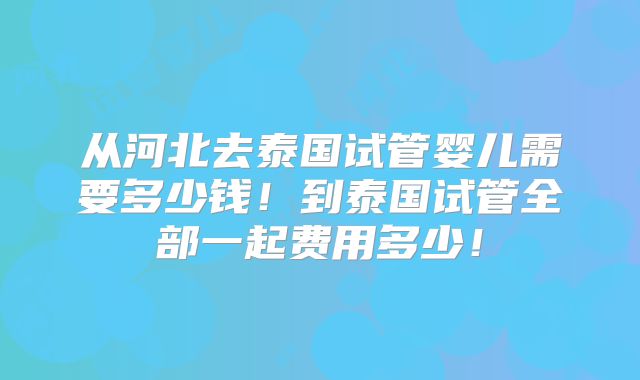 从河北去泰国试管婴儿需要多少钱！到泰国试管全部一起费用多少！
