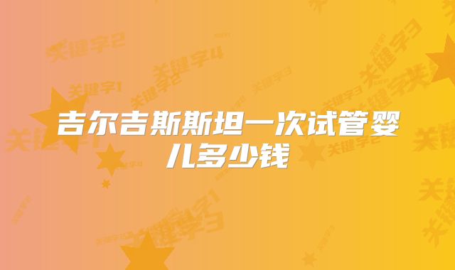 吉尔吉斯斯坦一次试管婴儿多少钱