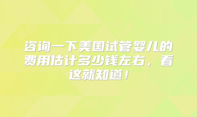 咨询一下美国试管婴儿的费用估计多少钱左右，看这就知道！