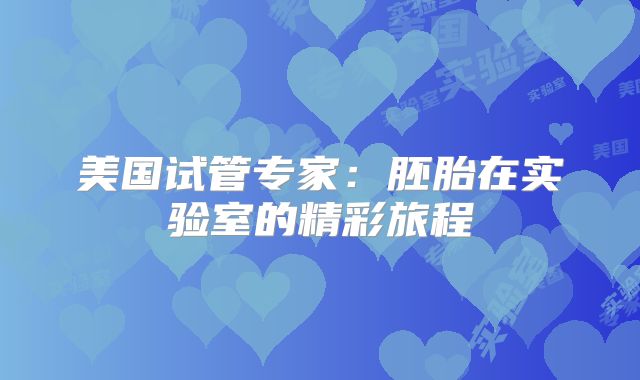 美国试管专家：胚胎在实验室的精彩旅程