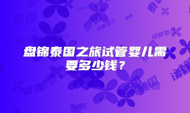盘锦泰国之旅试管婴儿需要多少钱？