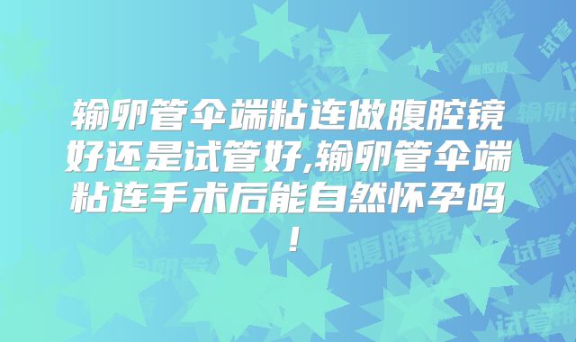 输卵管伞端粘连做腹腔镜好还是试管好,输卵管伞端粘连手术后能自然怀孕吗！