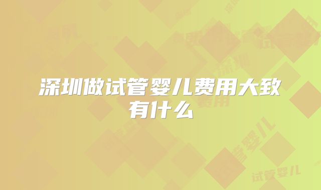 深圳做试管婴儿费用大致有什么
