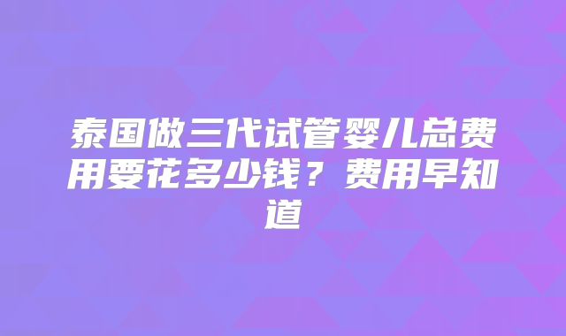 泰国做三代试管婴儿总费用要花多少钱?费用早知道