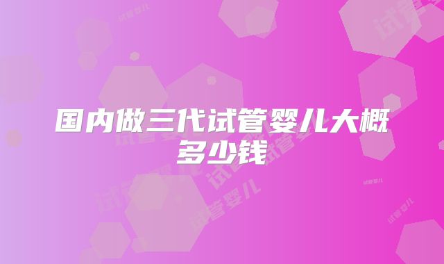 国内做三代试管婴儿大概多少钱