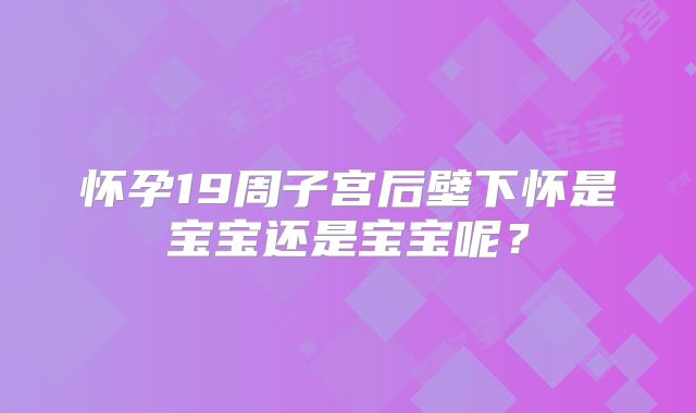 怀孕19周子宫后壁下怀是宝宝还是宝宝呢?