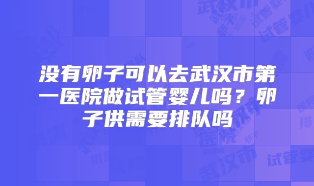 没有卵子可以去武汉市第一医院做试管婴儿吗？卵子供需要排队吗