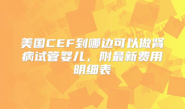 美国CEF到哪边可以做肾病试管婴儿，附最新费用明细表