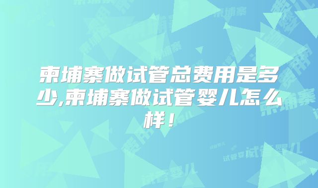 柬埔寨做试管总费用是多少,柬埔寨做试管婴儿怎么样！