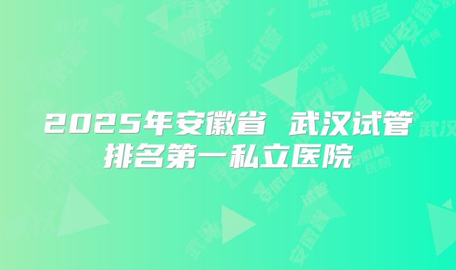 2025年安徽省 武汉试管排名第一私立医院