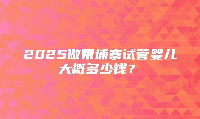 2025做柬埔寨试管婴儿大概多少钱?