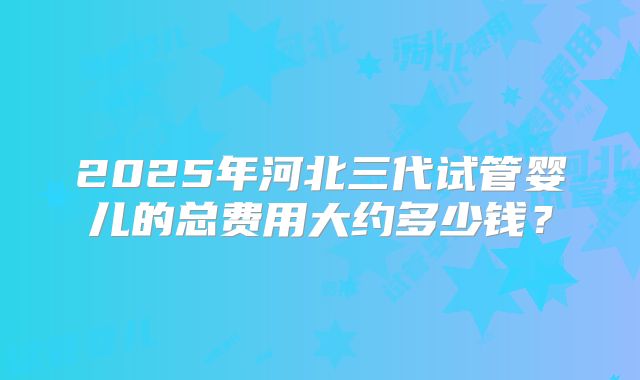 2025年河北三代试管婴儿的总费用大约多少钱？