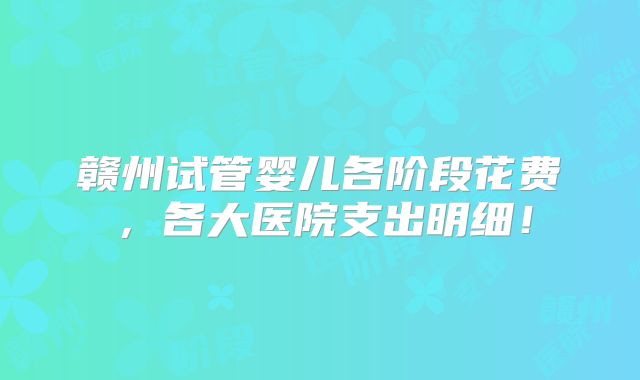 赣州试管婴儿各阶段花费，各大医院支出明细！