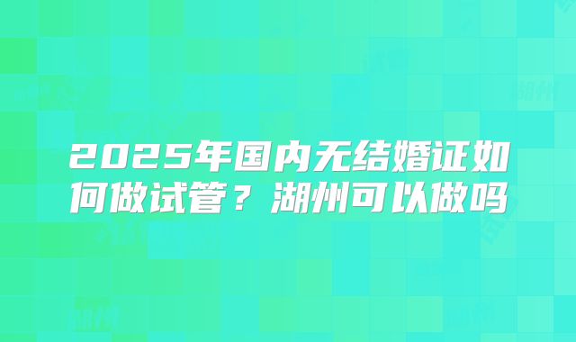 2025年国内无结婚证如何做试管？湖州可以做吗