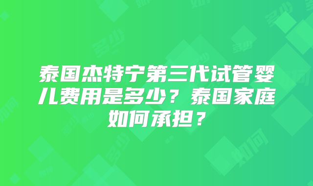 泰国杰特宁第三代试管婴儿费用是多少？泰国家庭如何承担？