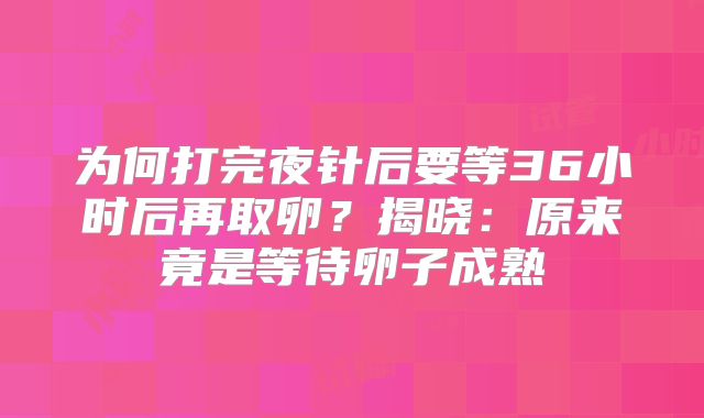 为何打完夜针后要等36小时后再取卵？揭晓：原来竟是等待卵子成熟