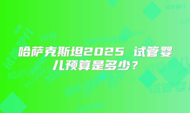哈萨克斯坦2025 试管婴儿预算是多少？