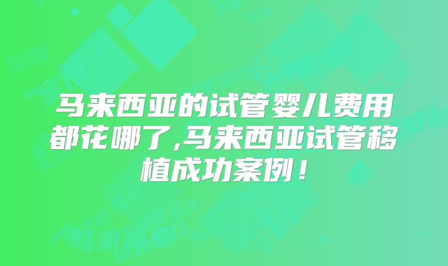 马来西亚的试管婴儿费用都花哪了,马来西亚试管移植成功案例！