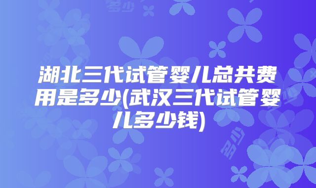 湖北三代试管婴儿总共费用是多少(武汉三代试管婴儿多少钱)