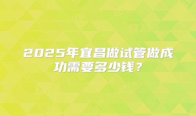 2025年宜昌做试管做成功需要多少钱？