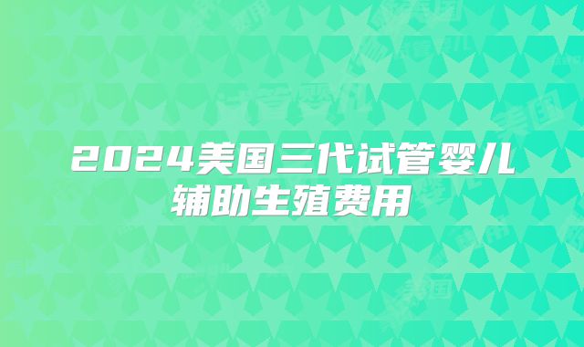 2024美国三代试管婴儿辅助生殖费用