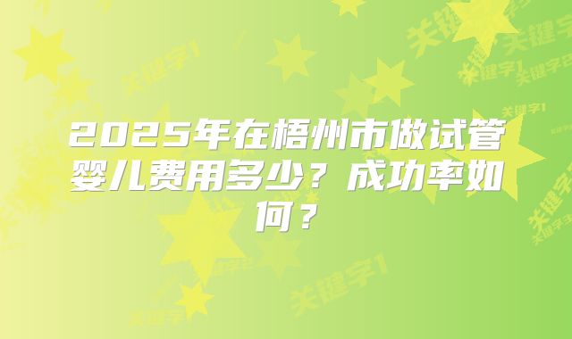 2025年在梧州市做试管婴儿费用多少？成功率如何？