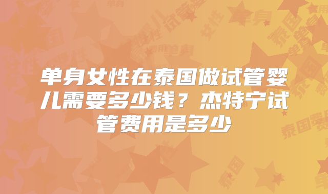单身女性在泰国做试管婴儿需要多少钱?杰特宁试管费用是多少