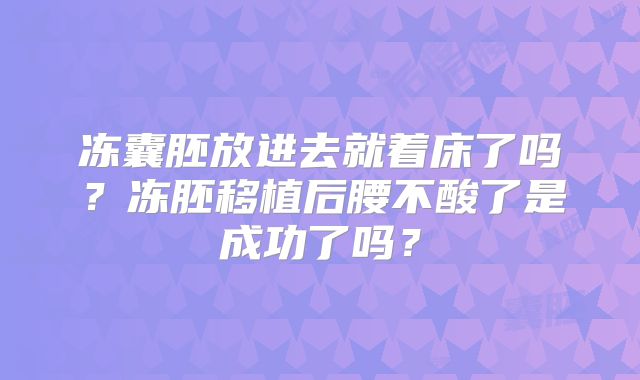 冻囊胚放进去就着床了吗？冻胚移植后腰不酸了是成功了吗？