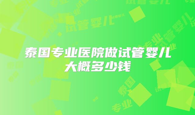 泰国专业医院做试管婴儿大概多少钱