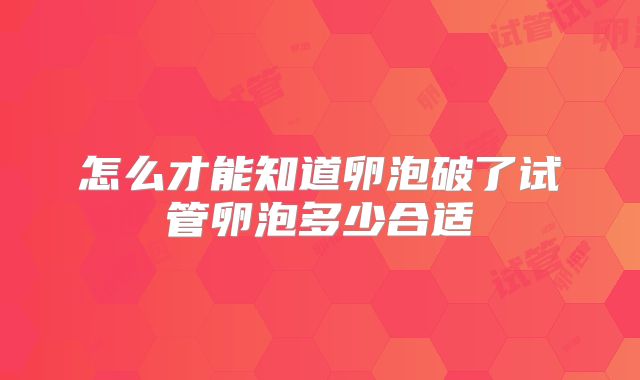 怎么才能知道卵泡破了试管卵泡多少合适